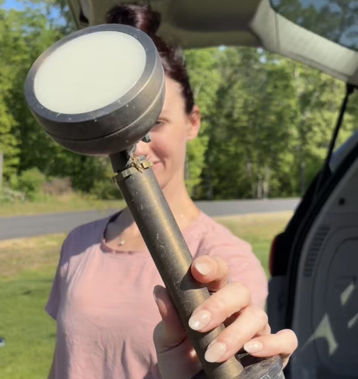 VOLT brass landscape lights scored on Facebook Marketplace
